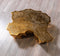 Elisha Gold Coffee Table [ETA: 4/15]