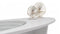 133 White Coffee Table
